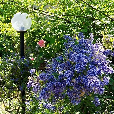 Il Giardino Di Matilde 3* Perugia