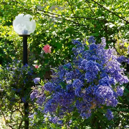 Bed & Breakfast Il Giardino Di Matilde 3*