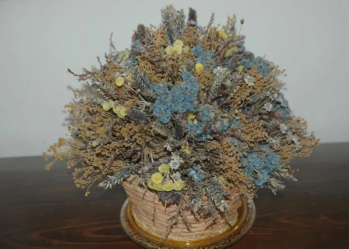 Il Giardino Di Matilde 3* פרוג'ה